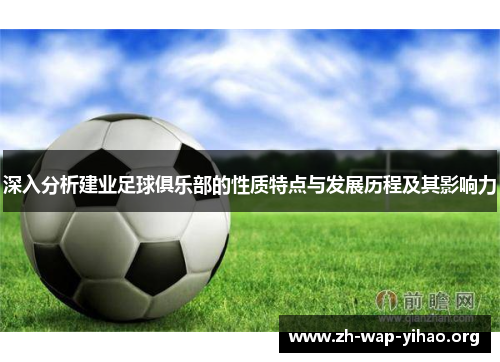 深入分析建业足球俱乐部的性质特点与发展历程及其影响力